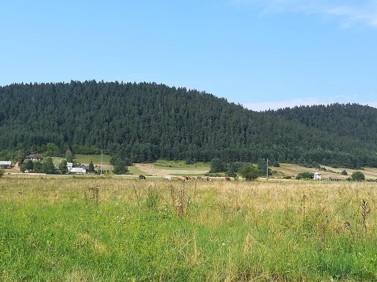 Villa Natali Donji Babin Potok Экстерьер фото