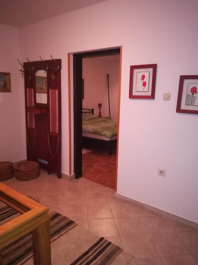 Villa Natali Donji Babin Potok Экстерьер фото